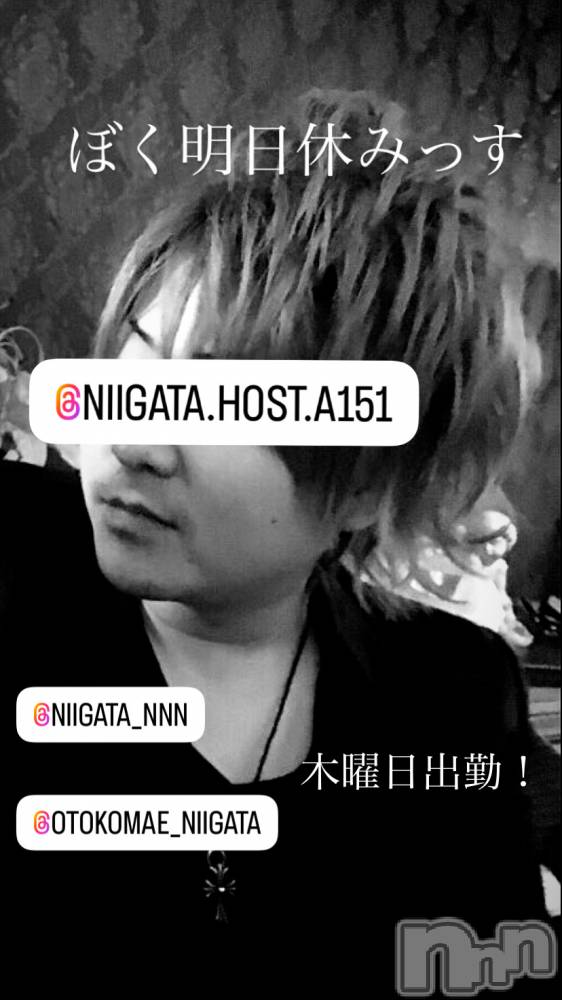 ��Į�ۥ��ȡ��ܡ������С�A151(�����������ݥ���) �褦��11��28���̥�֥�������������