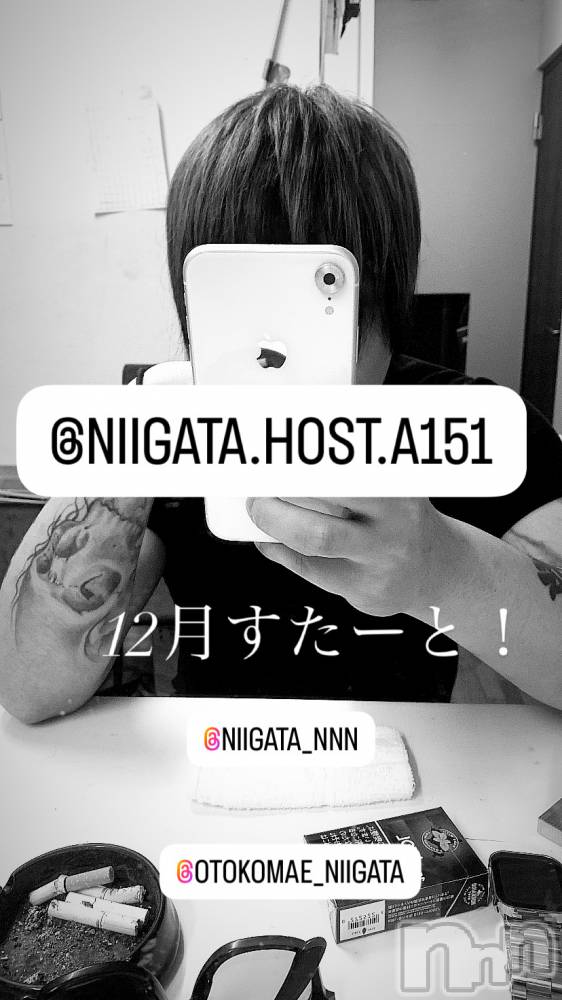 ��Į�ۥ��ȡ��ܡ������С�A151(�����������ݥ���) �褦��12��2���̥�֥����ַ�������