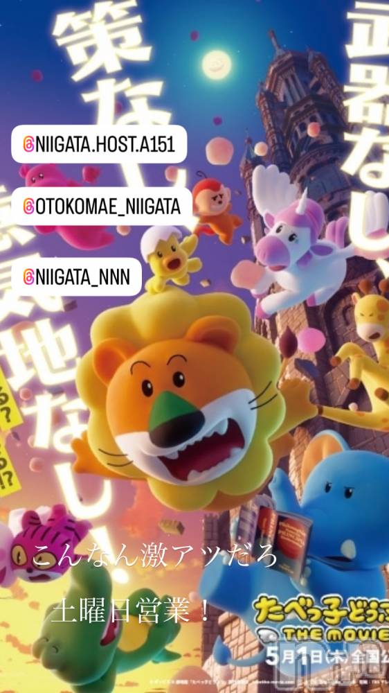 ��Į�ۥ��ȡ��ܡ������С�A151(�����������ݥ���) �褦��12��14���̥�֥�������������