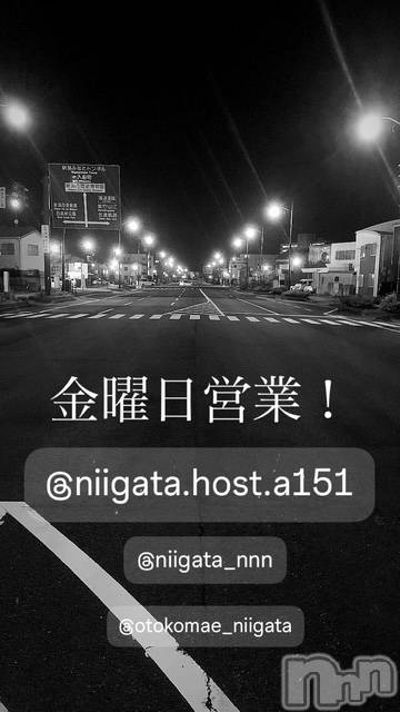 ��Į�ۥ��ȡ��ܡ������С�A151(�����������ݥ���) �褦��12��20���̥�֥����ֶ�������