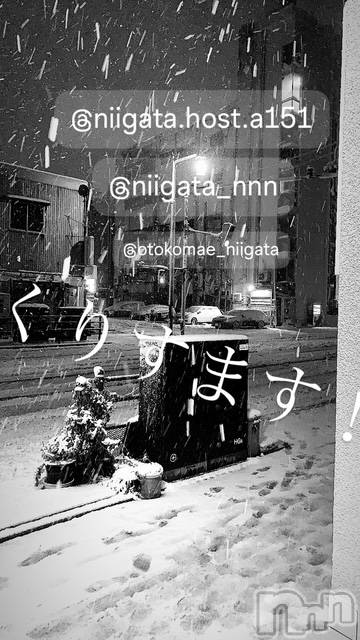 ��Į�ۥ��ȡ��ܡ������С�A151(�����������ݥ���) �褦��12��25���̥�֥����ֿ�������