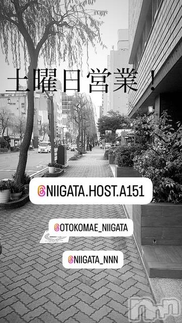 ��Į�ۥ��ȡ��ܡ������С�A151(�����������ݥ���) �褦��12��28���̥�֥�������������