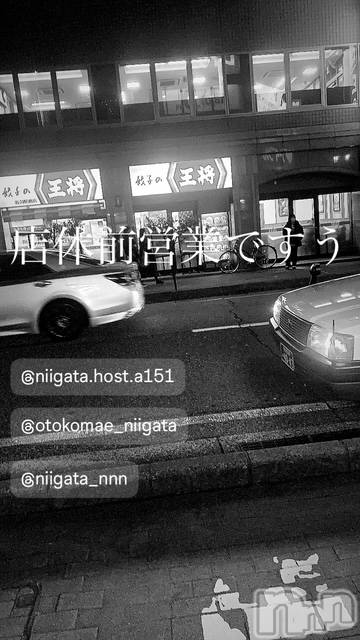 ��Į�ۥ��ȡ��ܡ������С�A151(�����������ݥ���) �褦��1��6���̥�֥����ַ�������