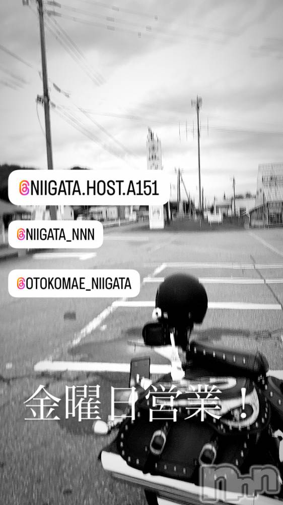 ��Į�ۥ��ȡ��ܡ������С�A151(�����������ݥ���) �褦��1��10���̥�֥����ֶ�������