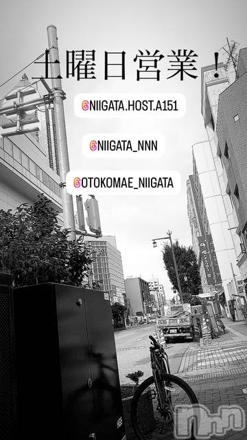 ��Į�ۥ��ȡ��ܡ������С�A151(�����������ݥ���) �褦��1��11���̥�֥�������������