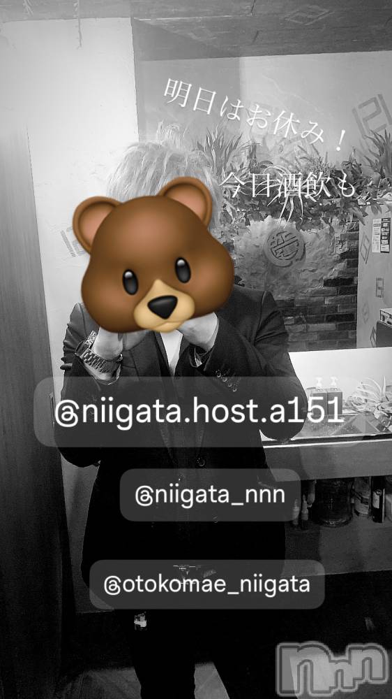 ��Į�ۥ��ȡ��ܡ������С�A151(�����������ݥ���) �褦��1��12���̥�֥�������������