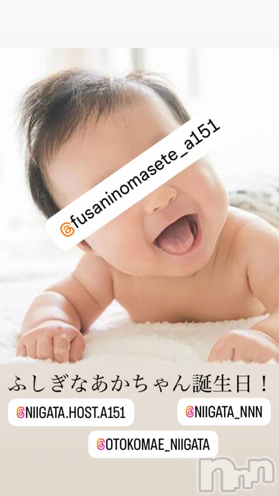 ��Į�ۥ��ȡ��ܡ������С�A151(�����������ݥ���) �褦��1��15���̥�֥����ֿ�������