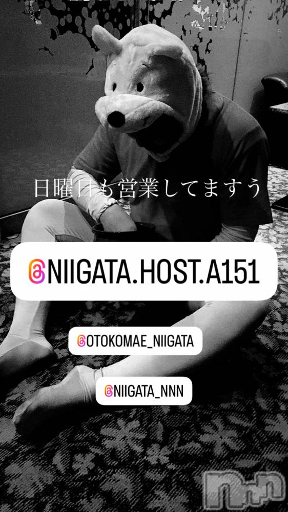 ��Į�ۥ��ȡ��ܡ������С�A151(�����������ݥ���) �褦��1��19���̥�֥�������������