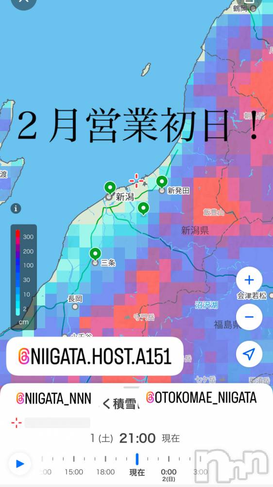 ��Į�ۥ��ȡ��ܡ������С�A151(�����������ݥ���) �褦��2��2���̥�֥�������������