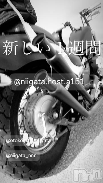 ��Į�ۥ��ȡ��ܡ������С�A151(�����������ݥ���) �褦��2��5���̥�֥����ֿ�������