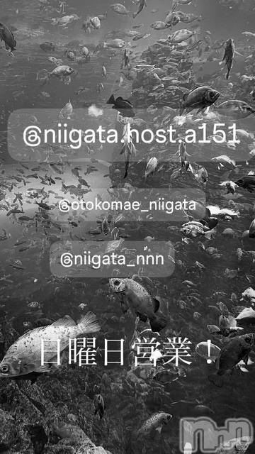 ��Į�ۥ��ȡ��ܡ������С�A151(�����������ݥ���) �褦��2��9���̥�֥�������������