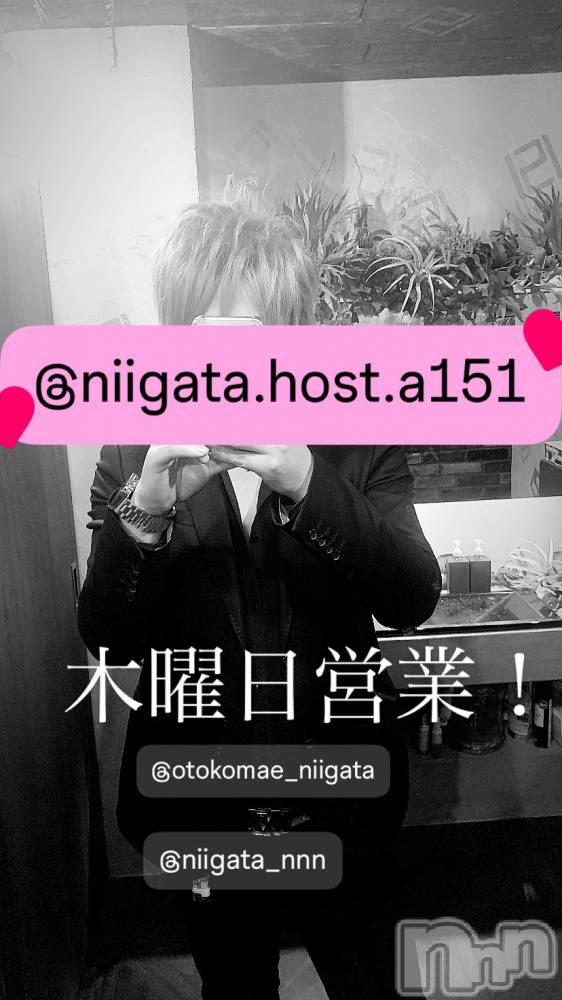 ��Į�ۥ��ȡ��ܡ������С�A151(�����������ݥ���) �褦��2��13���̥�֥�������������