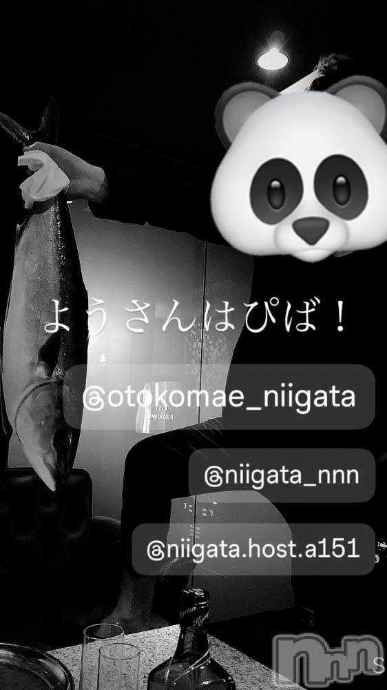 ��Į�ۥ��ȡ��ܡ������С�A151(�����������ݥ���) �褦��2��14���̥�֥����ֶ�������