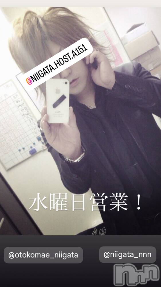 ��Į�ۥ��ȡ��ܡ������С�A151(�����������ݥ���) �褦��3��5���̥�֥����ֿ�������