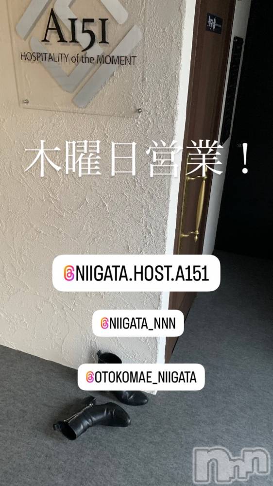 ��Į�ۥ��ȡ��ܡ������С�A151(�����������ݥ���) �褦��3��6���̥�֥�������������