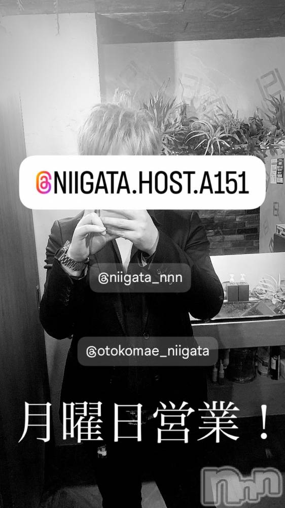 ��Į�ۥ��ȡ��ܡ������С�A151(�����������ݥ���) �褦��3��10���̥�֥����ַ�������