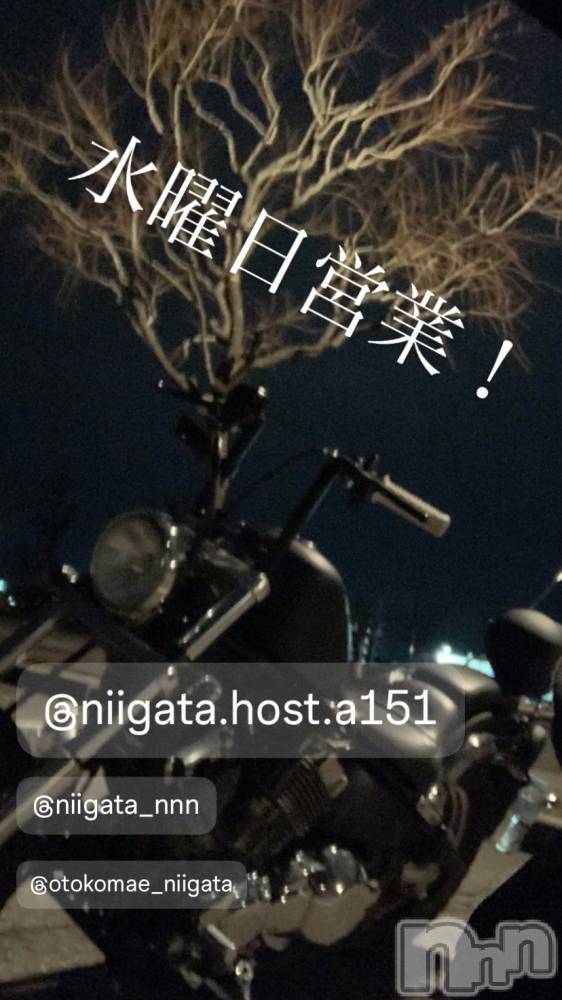 ��Į�ۥ��ȡ��ܡ������С�A151(�����������ݥ���) �褦��3��12���̥�֥����ֿ�������