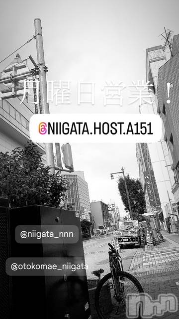 ��Į�ۥ��ȡ��ܡ������С�A151(�����������ݥ���) �褦��3��17���̥�֥����ַ�������