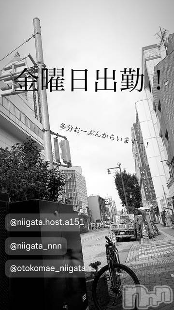 ��Į�ۥ��ȡ��ܡ������С�A151(�����������ݥ���) �褦��3��28���̥�֥����ֶ�������