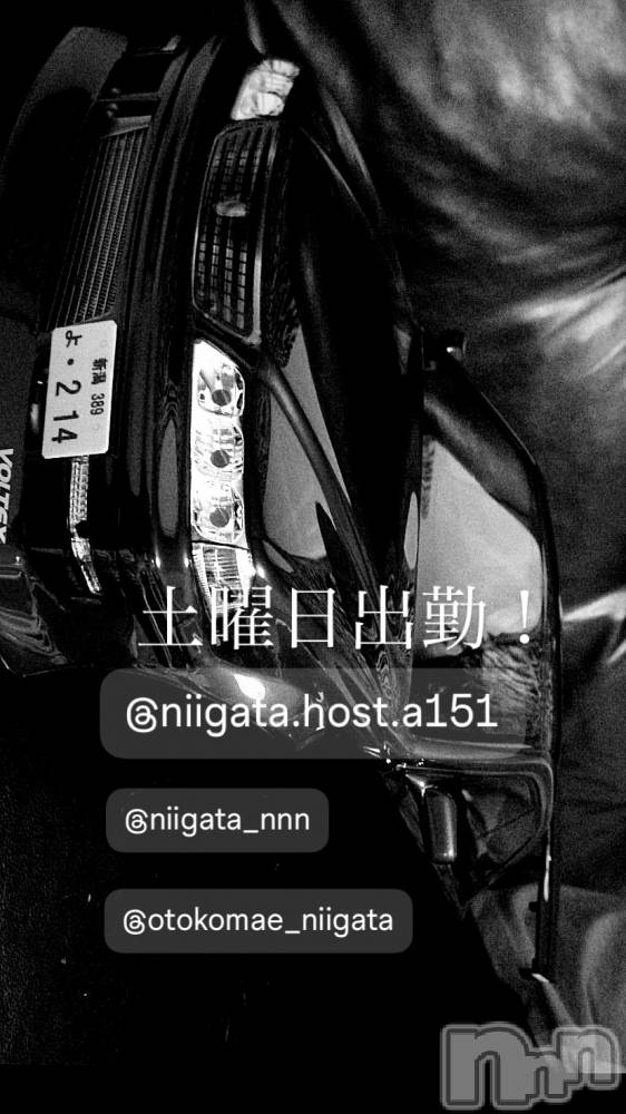 ��Į�ۥ��ȡ��ܡ������С�A151(�����������ݥ���) �褦��3��29���̥�֥�������������