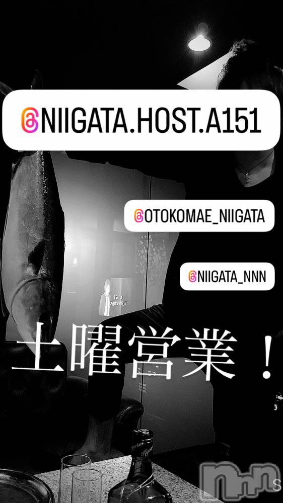 ��Į�ۥ��ȡ��ܡ������С�A151(�����������ݥ���) �褦��4��5���̥�֥�������������