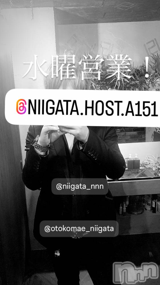 ��Į�ۥ��ȡ��ܡ������С�A151(�����������ݥ���) �褦��4��16���̥�֥����ֿ�������