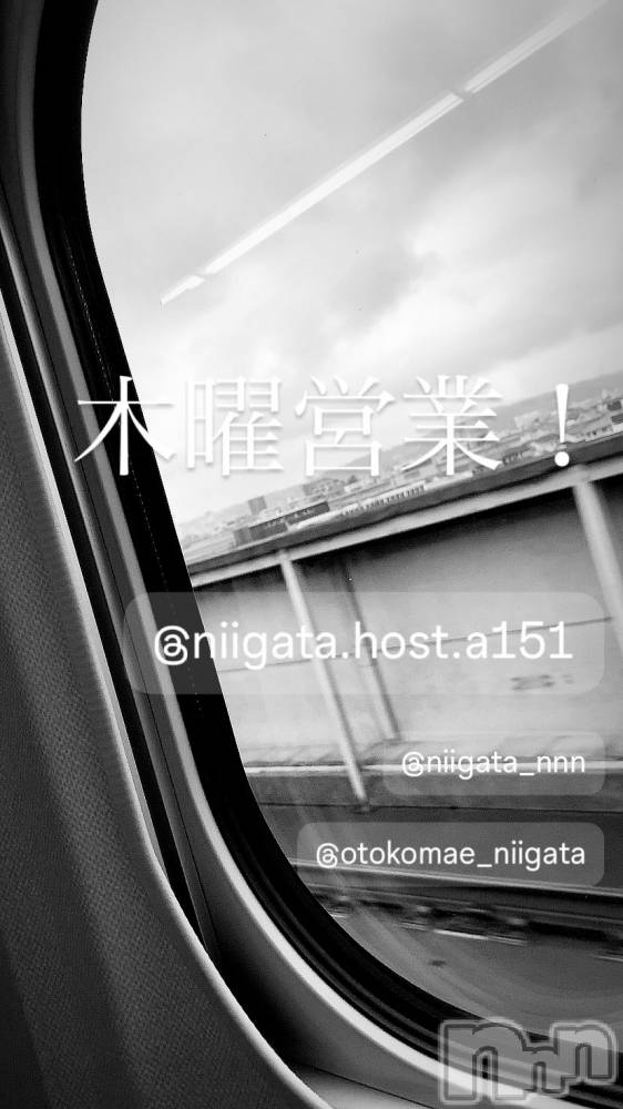 ��Į�ۥ��ȡ��ܡ������С�A151(�����������ݥ���) �褦��4��17���̥�֥�������������