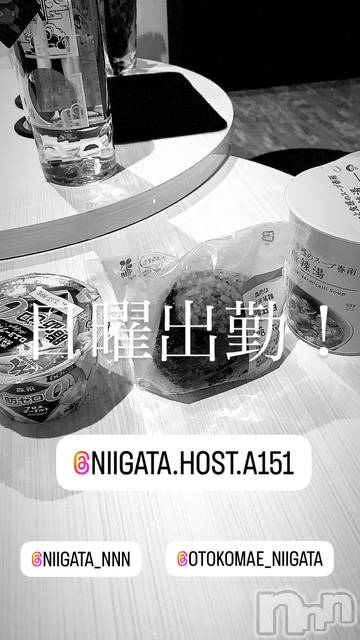 ��Į�ۥ��ȡ��ܡ������С�A151(�����������ݥ���) �褦��4��20���̥�֥�������������