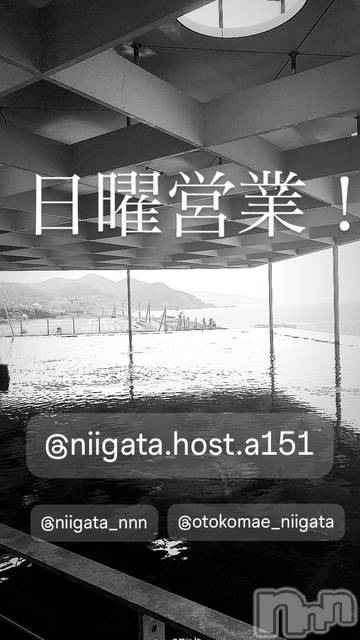 ��Į�ۥ��ȡ��ܡ������С�A151(�����������ݥ���) �褦��4��21���̥�֥����ַ�������