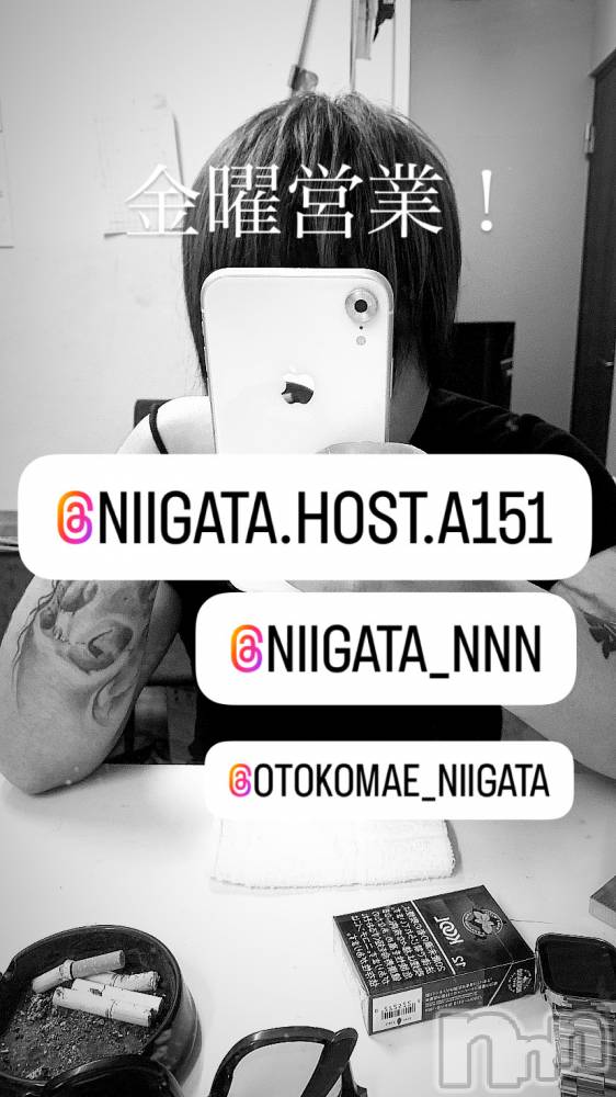 ��Į�ۥ��ȡ��ܡ������С�A151(�����������ݥ���) �褦��4��25���̥�֥����ֶ�������