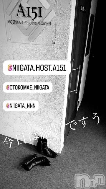 ��Į�ۥ��ȡ��ܡ������С�A151(�����������ݥ���) �褦��4��30���̥�֥����ֿ�������