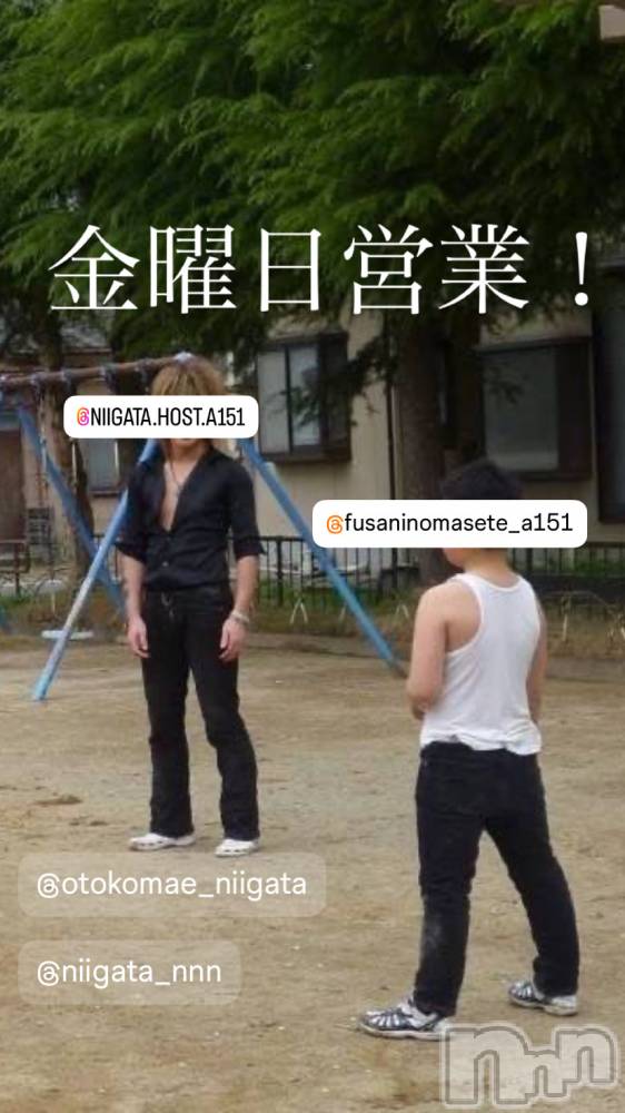 ��Į�ۥ��ȡ��ܡ������С�A151(�����������ݥ���) �褦��5��9���̥�֥����ֶ�������