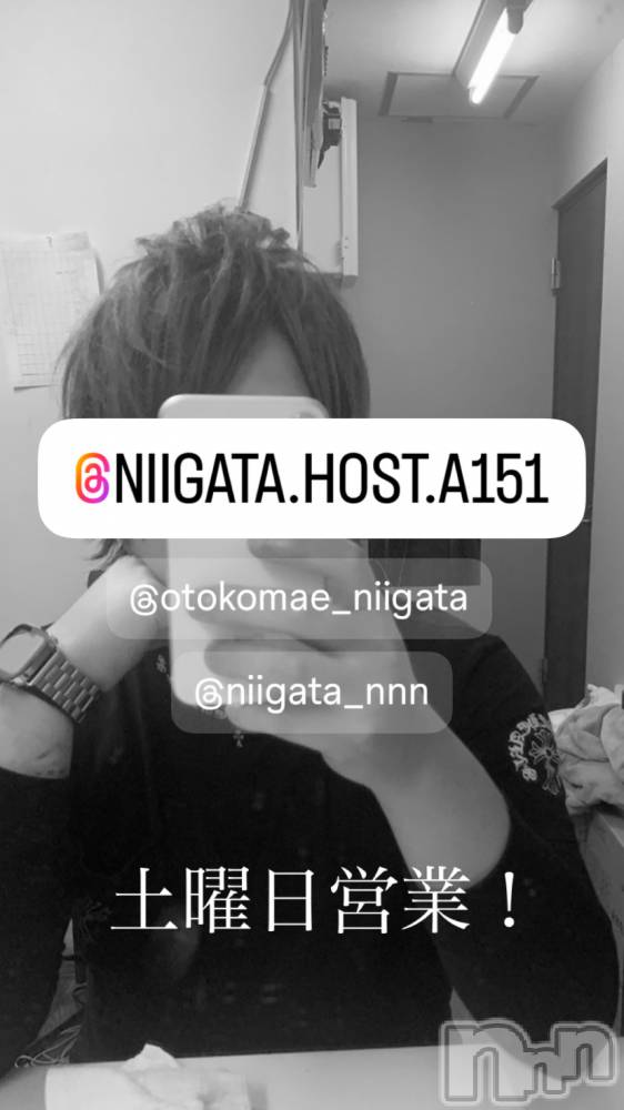 ��Į�ۥ��ȡ��ܡ������С�A151(�����������ݥ���) �褦��5��10���̥�֥�������������