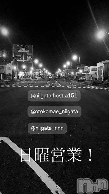 ��Į�ۥ��ȡ��ܡ������С�A151(�����������ݥ���) �褦��5��11���̥�֥�������������