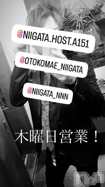 ��Į�ۥ��ȡ��ܡ������С�A151(�����������ݥ���) �褦��5��15���̥�֥�������������