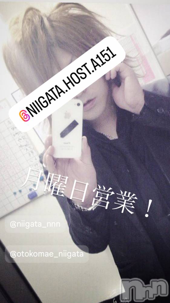 ��Į�ۥ��ȡ��ܡ������С�A151(�����������ݥ���) �褦��5��19���̥�֥����ַ�������