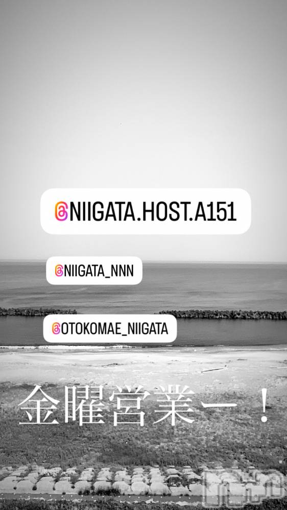 ��Į�ۥ��ȡ��ܡ������С�A151(�����������ݥ���) �褦��5��23���̥�֥����ֶ�������