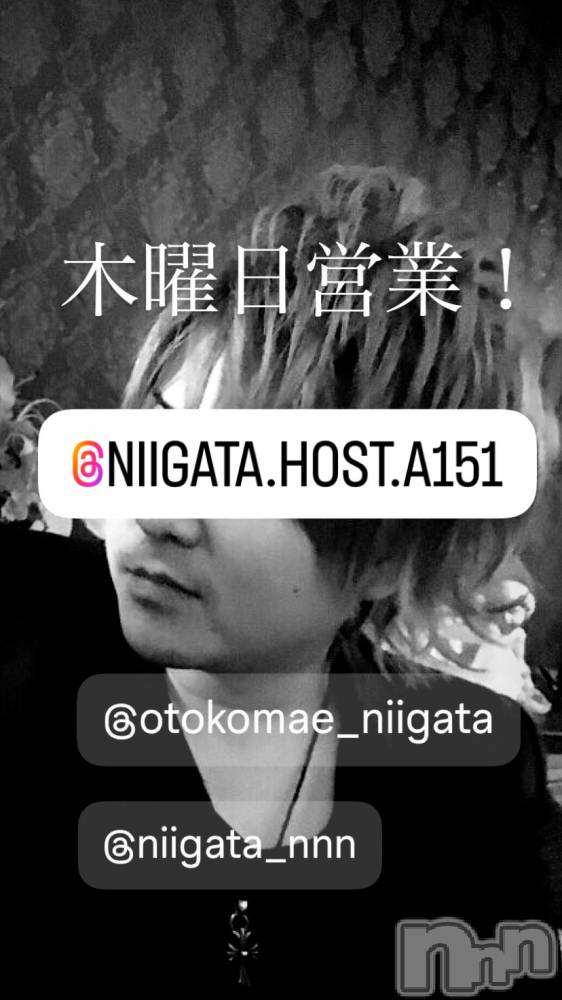 ��Į�ۥ��ȡ��ܡ������С�A151(�����������ݥ���) �褦��5��29���̥�֥�������������