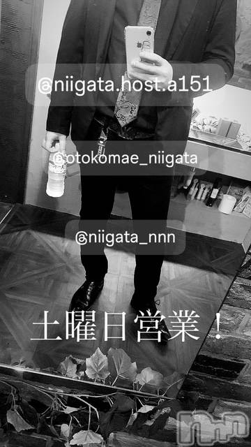 ��Į�ۥ��ȡ��ܡ������С�A151(�����������ݥ���) �褦��5��31���̥�֥�������������