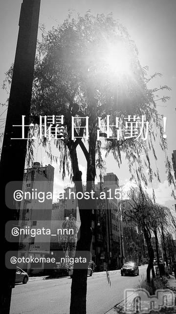 ��Į�ۥ��ȡ��ܡ������С�A151(�����������ݥ���) �褦��6��7���̥�֥�������������