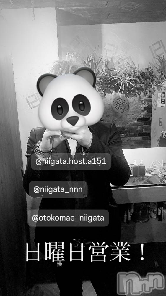 ��Į�ۥ��ȡ��ܡ������С�A151(�����������ݥ���) �褦��6��8���̥�֥�������������