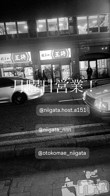 ��Į�ۥ��ȡ��ܡ������С�A151(�����������ݥ���) �褦��6��9���̥�֥����ַ�������