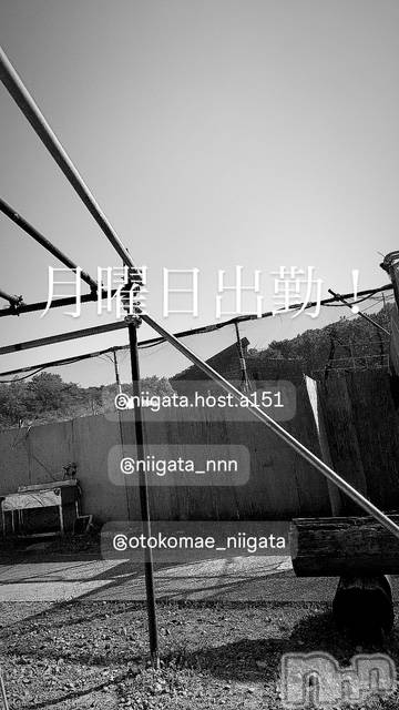 ��Į�ۥ��ȡ��ܡ������С�A151(�����������ݥ���) �褦��6��16���̥�֥����ַ�������