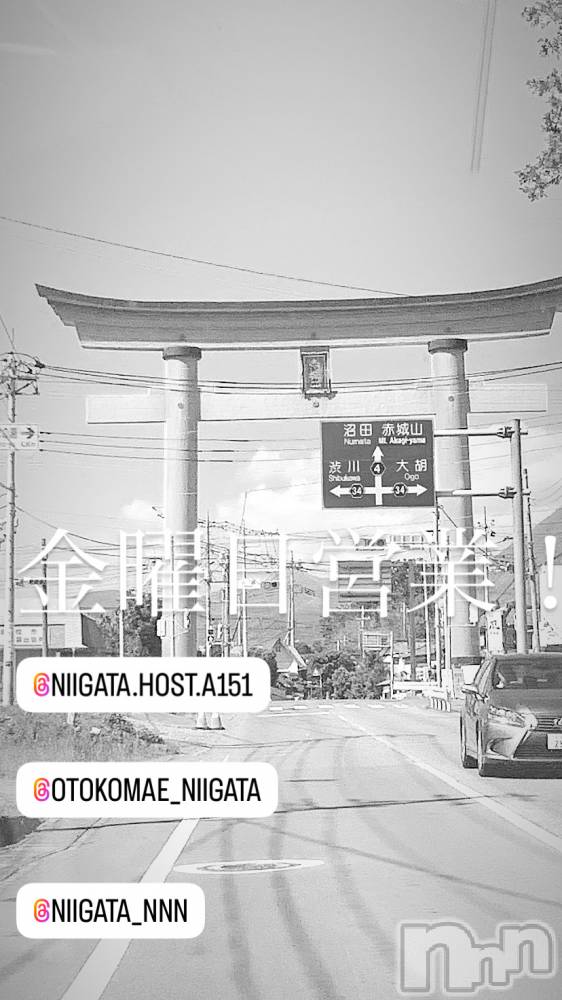 ��Į�ۥ��ȡ��ܡ������С�A151(�����������ݥ���) �褦��6��20���̥�֥����ֶ�������