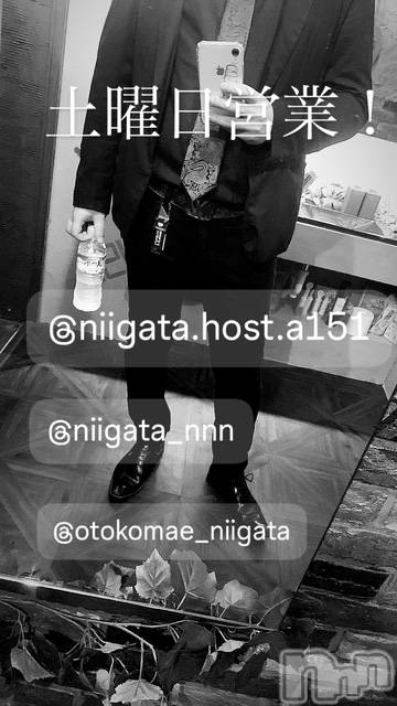 ��Į�ۥ��ȡ��ܡ������С�A151(�����������ݥ���) �褦��6��21���̥�֥�������������