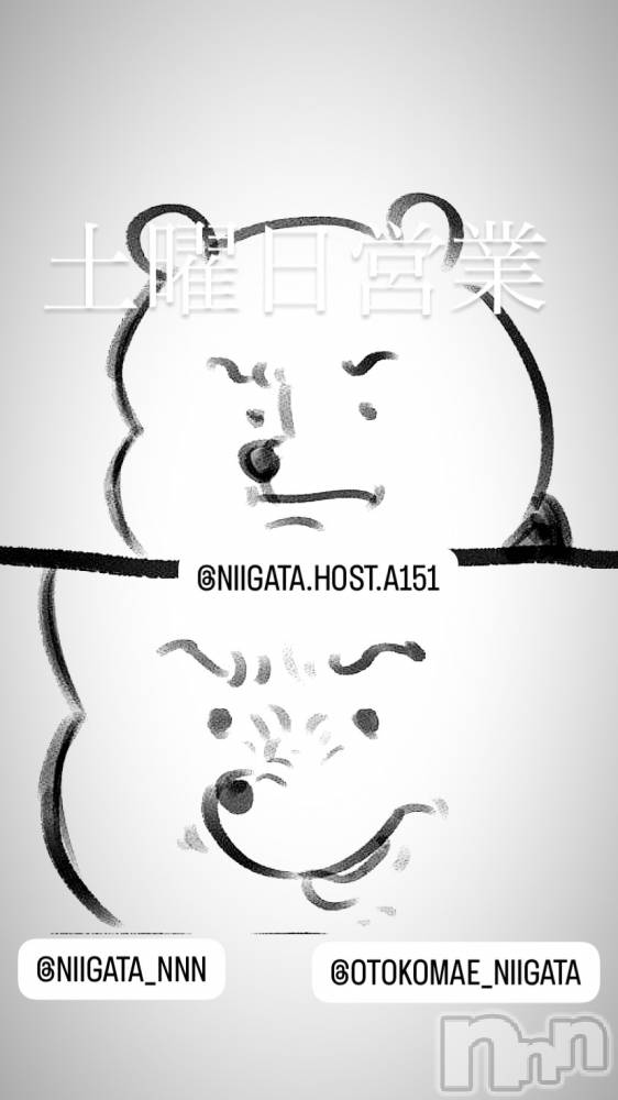 ��Į�ۥ��ȡ��ܡ������С�A151(�����������ݥ���) �褦��6��28���̥�֥�������������