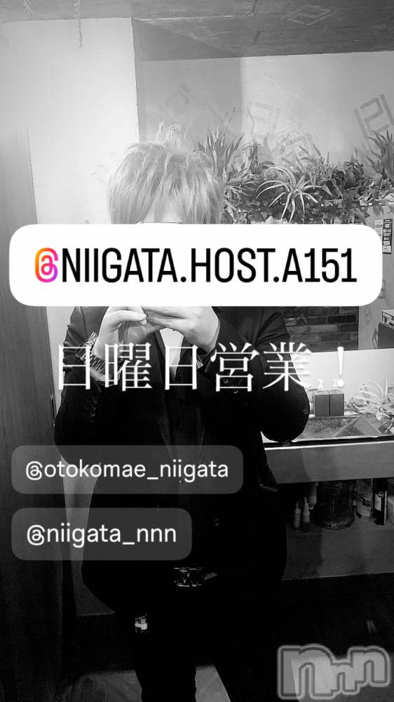 ��Į�ۥ��ȡ��ܡ������С�A151(�����������ݥ���) �褦��6��29���̥�֥�������������