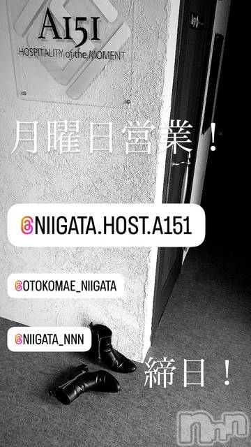 ��Į�ۥ��ȡ��ܡ������С�A151(�����������ݥ���) �褦��6��30���̥�֥����ַ�������