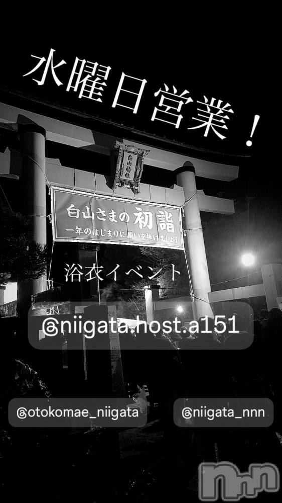 ��Į�ۥ��ȡ��ܡ������С�A151(�����������ݥ���) �褦��7��2���̥�֥����ֿ�������