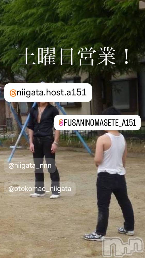 ��Į�ۥ��ȡ��ܡ������С�A151(�����������ݥ���) �褦��7��12���̥�֥�������������